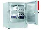Featured Product: Best Incubators for Your Success