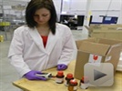 Material Identification with Handheld Raman