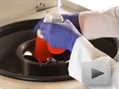 Thermo Scientific Centrifuge Fiberlite Rotors