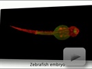 Lightsheet.Z1 Imaging System from ZEISS