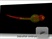 Lightsheet.Z1 Imaging System from ZEISS