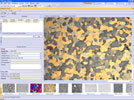 OLYMPUS Stream® Image Analysis Software