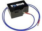 Torus Miniature Spectrometer