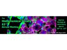 Histochemistry 2012