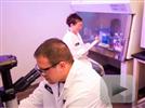 Research Organics Custom Laboratory Solutions