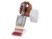 Transferpette Multichannel Pipette