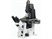 XE-120 Research AFM Microscope