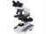 B1-Series Upright Microscope