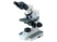 B3-Series Upright Microscope
