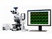 Axio Examiner Light Microscope