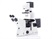 Axio Observer Inverted Light Microscope