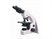 BS-2040 Series Biological Microscopes