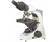 BS-2050 Series Biological Microscopes