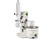 Rotavapor R II Rotary Evaporator