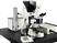 TCS MP5 Multiphoton Confocal Microscope