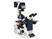 DMI6000 B Fully Automated Microscope System (Adaptive Focus Control)