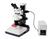MZ10 F Stereozoom Fluorescent Imaging Microscopes