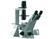Axiovert 40 Inverted Fluorescence Microscope