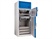 Thermo Scientific Jewett Dual-Temperature Lab Refrigerator/Freezers
