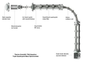 Thermo Fisher Scientific Transforms Triple Quadrupole LC-MS with New ...