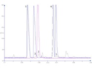  Target Chiral Compounds in Lavender Oil Using HS Fast Chiral GC