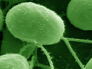 Life Science Mass Spectrometry