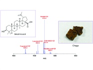 Food Mass Spectrometry
