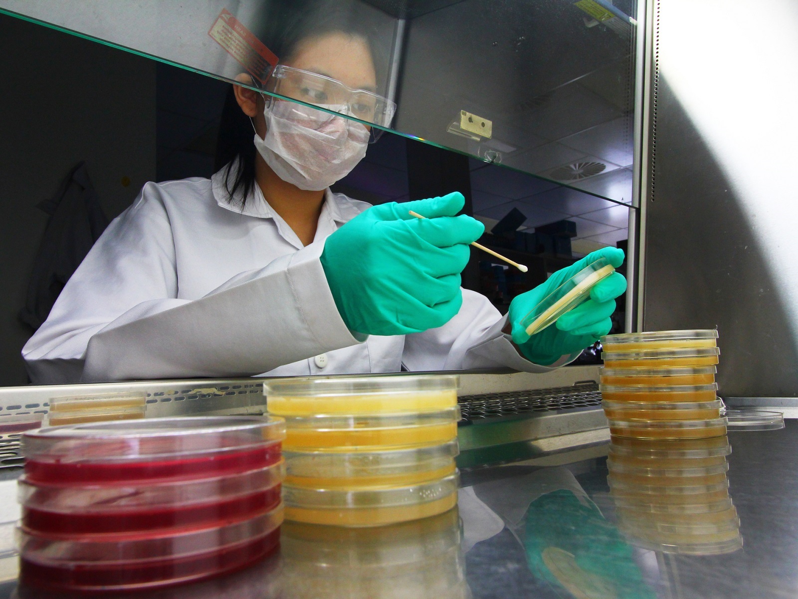  Step-by-Step Guide to Operating a Biological Safety Cabinet