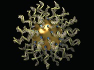 Analyzing an Array of Particles