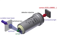 Super-Resolution Microscopy Techniques Combine to Clarify Spatiotemporal Structure of the Endoplasmic Reticulum
