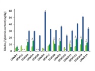 Improved Method to Quantitate Gluten in Purified Wheat Starch