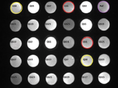 Design and Use of Multiplex Immunoassays Based on Oligonucleotide Tethering
