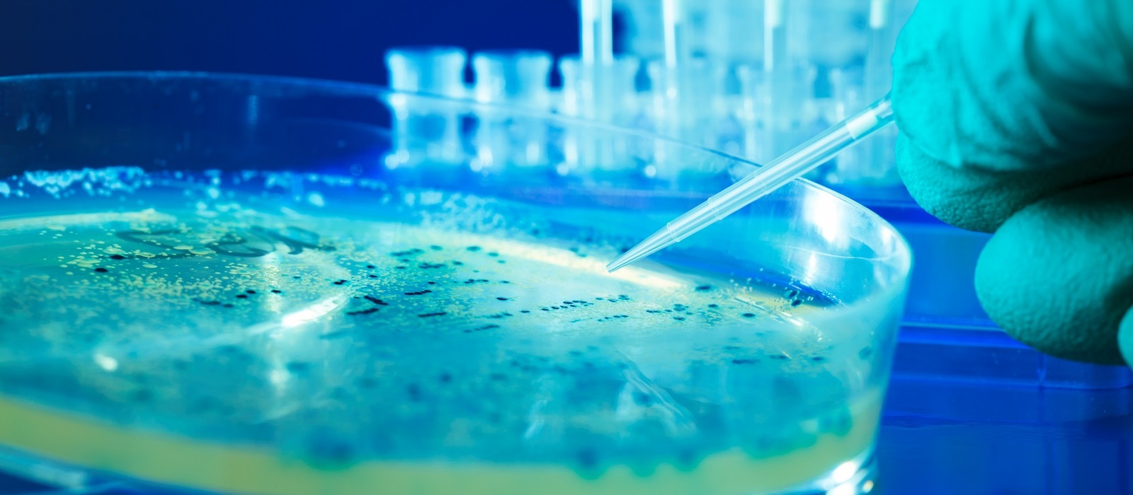  Constant Contamination Control