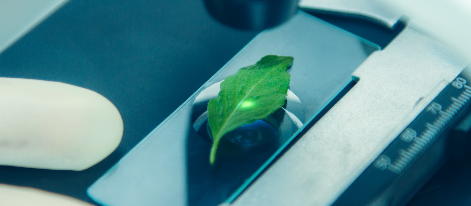  “Green” Advantage of Ductless Enclosures
