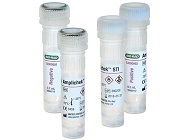 Molecular Control for Sexually Transmitted Infections