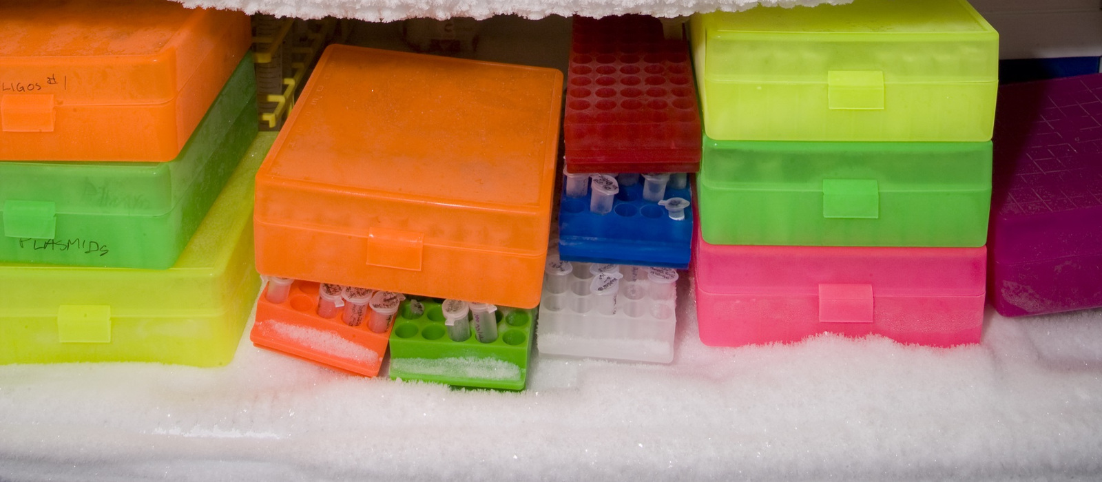 How to Keep Your ULT Freezer Working Properly