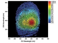 New Ultrafast Molecular Fingerprinting Technique