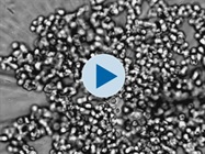 HT-1080 Kinetic Spheroid Formation