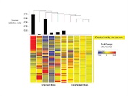 Integrating GC/TOF Exposome Profiling and Genetic Disease Screening to Provide a Holistic Perspective on Honey Bee Health