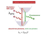 Strategies for Deep Imaging With Multiphoton Microscopy