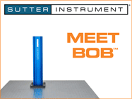 BOB™: Open-Design Upright Microscope