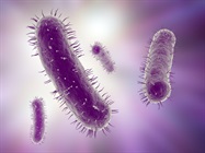 Microbial Control in Purified Water Systems