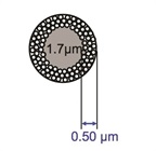 HPLC Column Technology: The First 50 Years