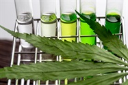 Testing for Metals in Cannabis