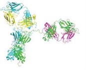  The Evolution of Spectroscopy: A New Technique for Biotherapeutic Formulation