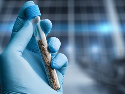 Characterizing Cannabis: Testing for Contaminants