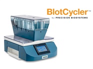Blot-to-Blot Consistency. Time after Time.