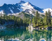 35th International Symposium on Microscale Separations and Bioanalysis