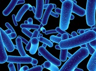 How to Control Contamination and Protect Your Cells
