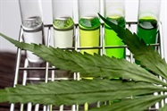 Analyzing More Than 1,000 Pesticides With Multiple-Reaction-Monitoring Mass Spectrometry
